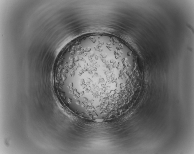 X0000099950936200806131444