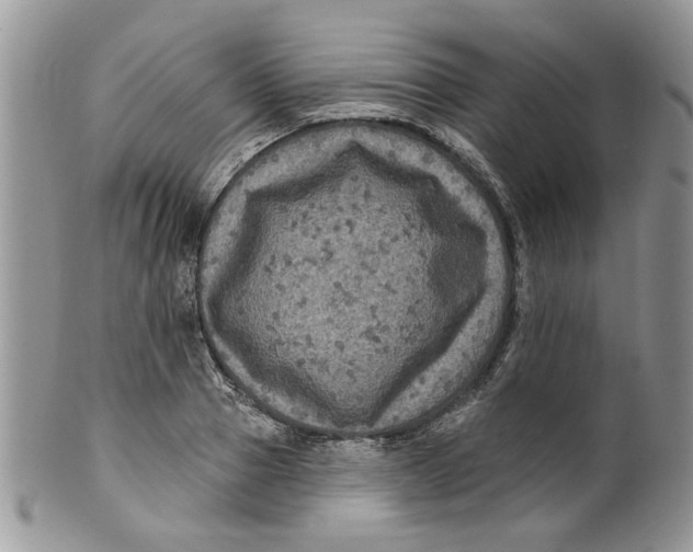 X0000099950937200806131444