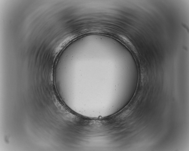 X0000099950938200806131444