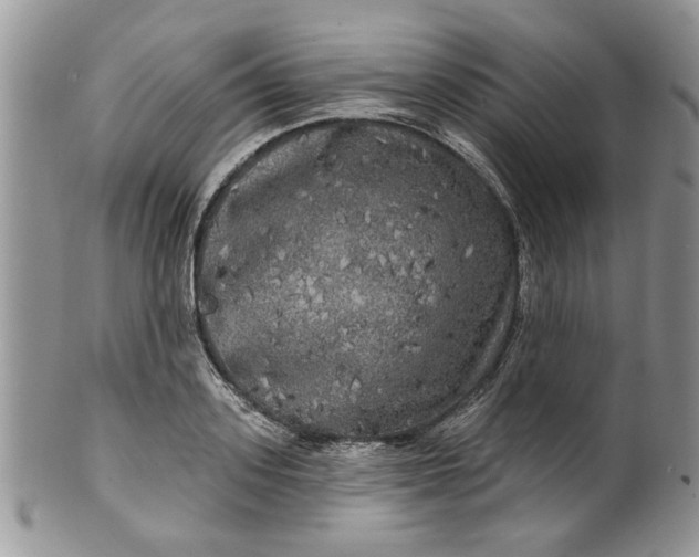 X0000099950939200806131444