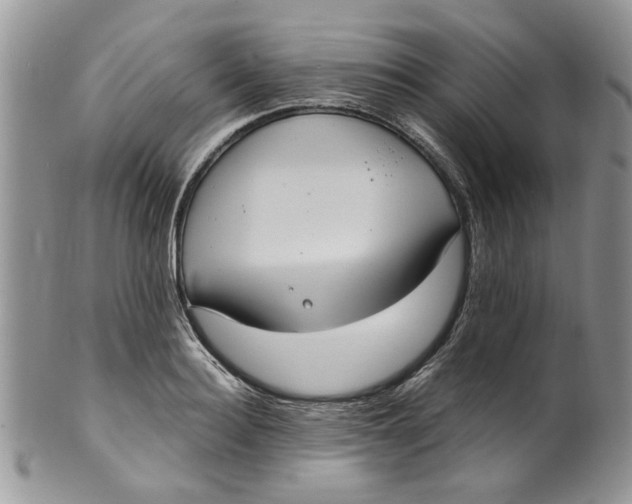 X0000099950940200806131444