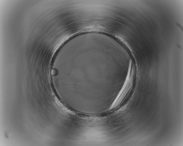 X0000099950941200806131444