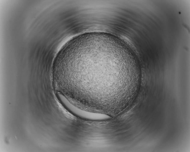 X0000099950942200806131444