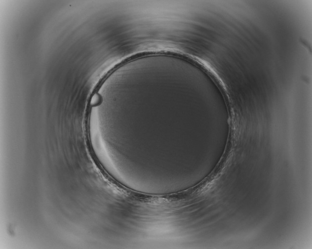 X0000099950943200806131444