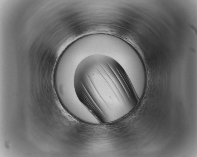 X0000099950944200806131444