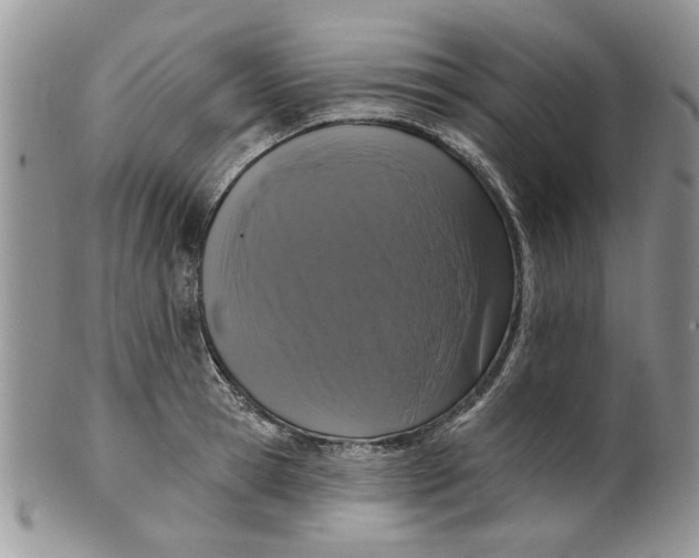 X0000099950945200806131444