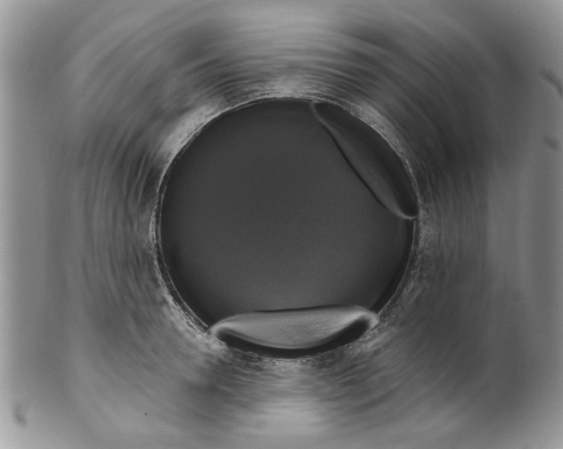 X0000099950946200806131444