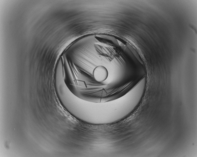 X0000099950948200806131444