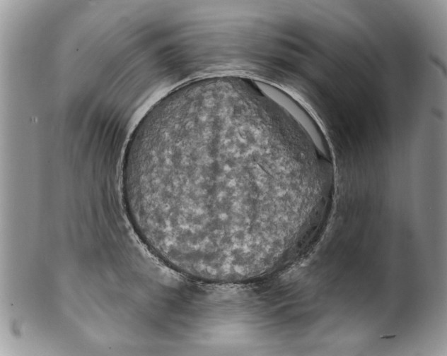 X0000099950949200806131444