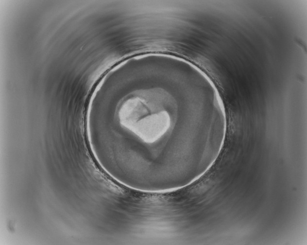 X0000099950950200806131444