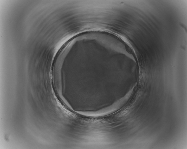 X0000099950951200806131444