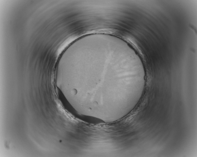 X0000099950952200806131444