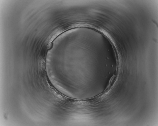 X0000099950953200806131444