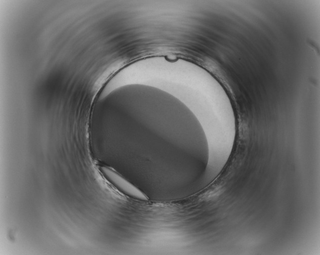 X0000099950954200806131444