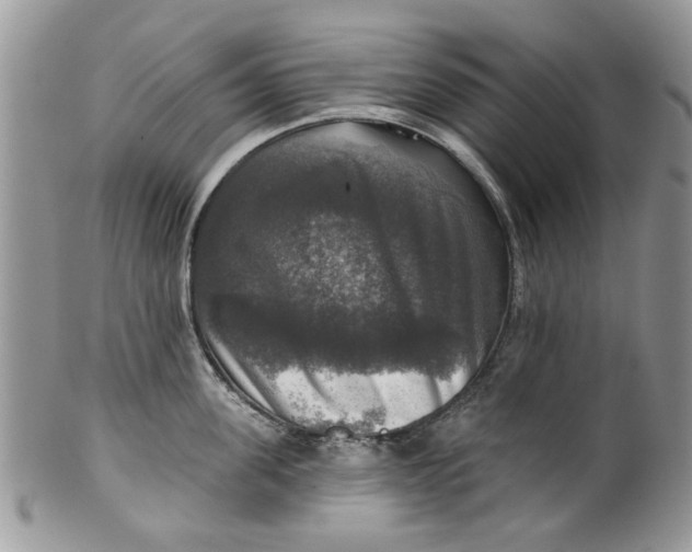 X0000099950955200806131444