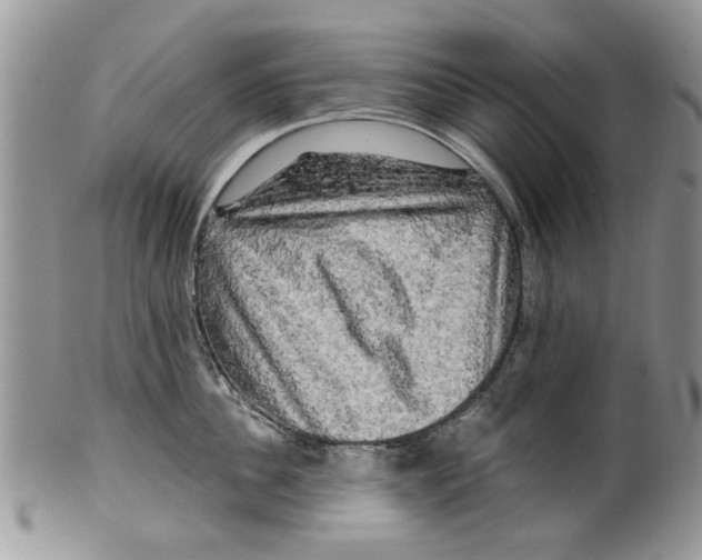 X0000099950956200806131444