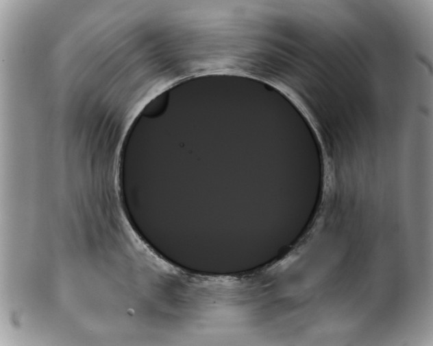 X0000099950957200806131444