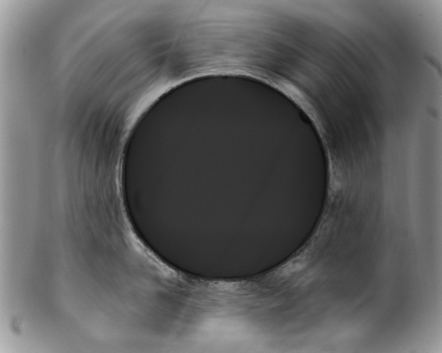 X0000099950958200806131444