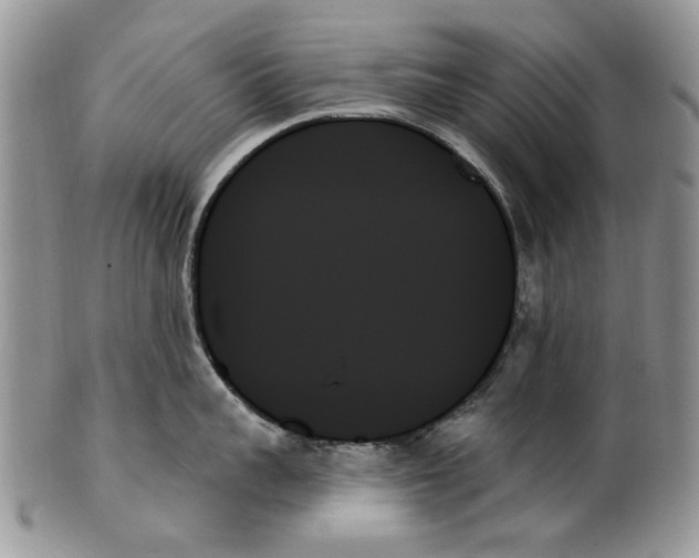 X0000099950959200806131444