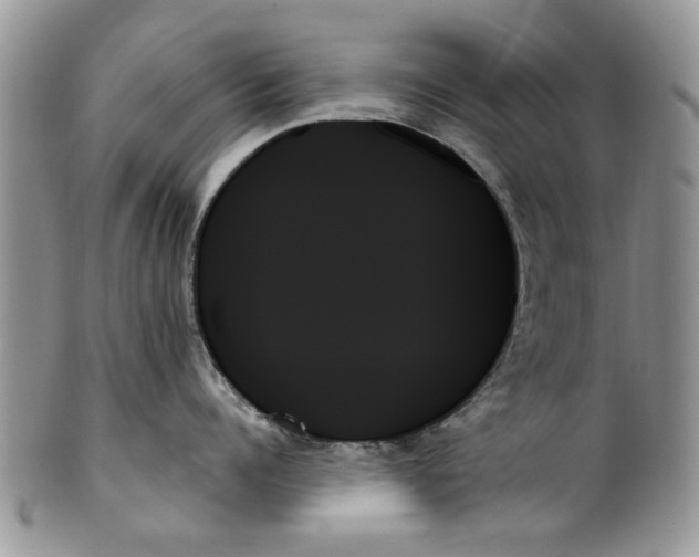 X0000099950960200806131444