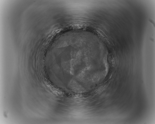 X0000099950961200806131444