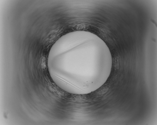 X0000099950962200806131444