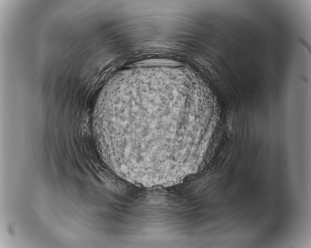 X0000099950964200806131444