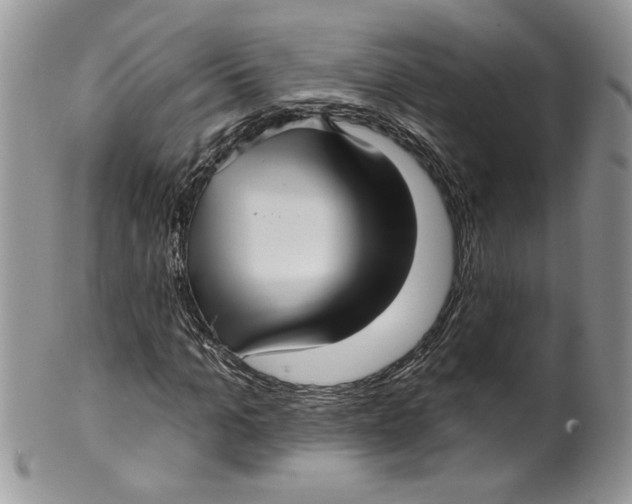 X0000099950965200806131444