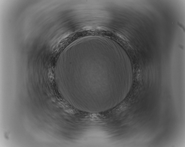 X0000099950966200806131444