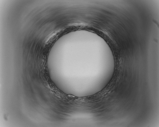 X0000099950967200806131444