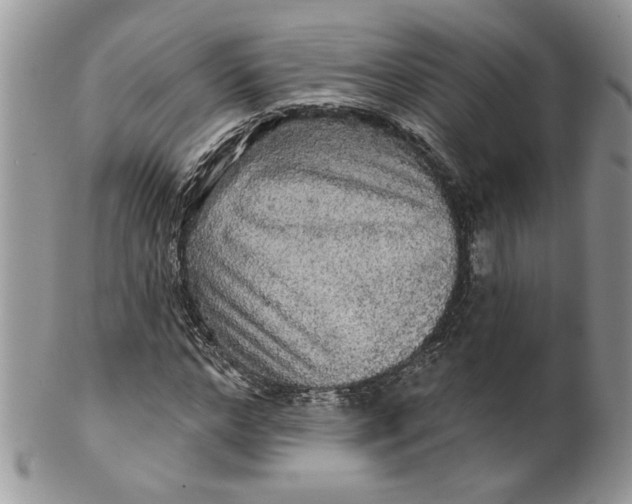 X0000099950968200806131444