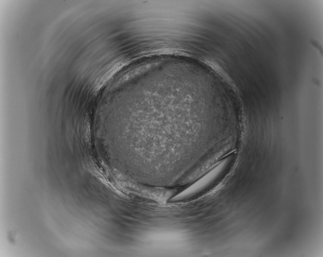 X0000099950969200806131444