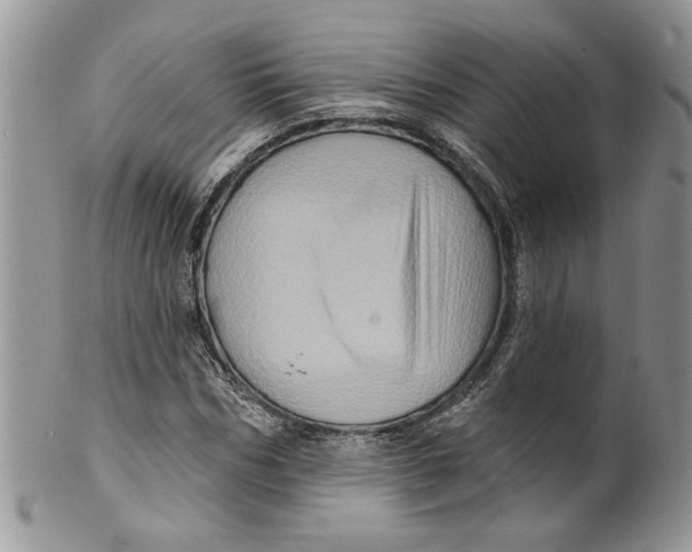 X0000099950970200806131444