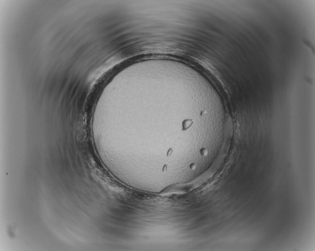 X0000099950971200806131444