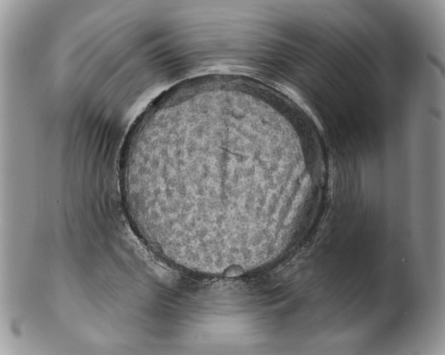 X0000099950972200806131444