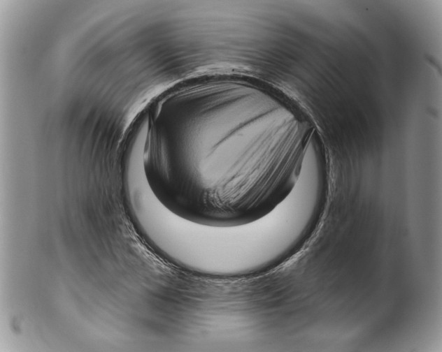 X0000099950973200806131444