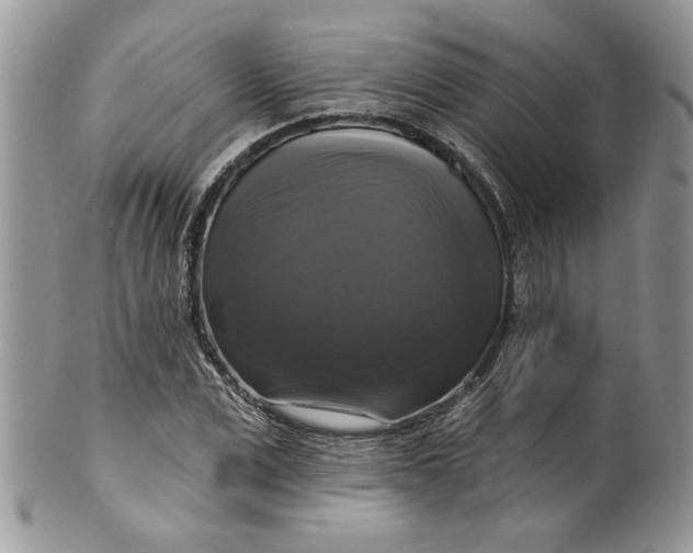 X0000099950975200806131444