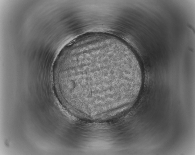 X0000099950976200806131444