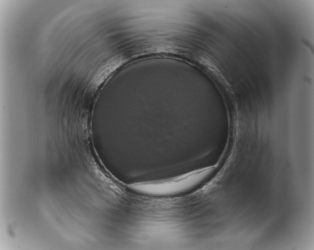 X0000099950977200806131443