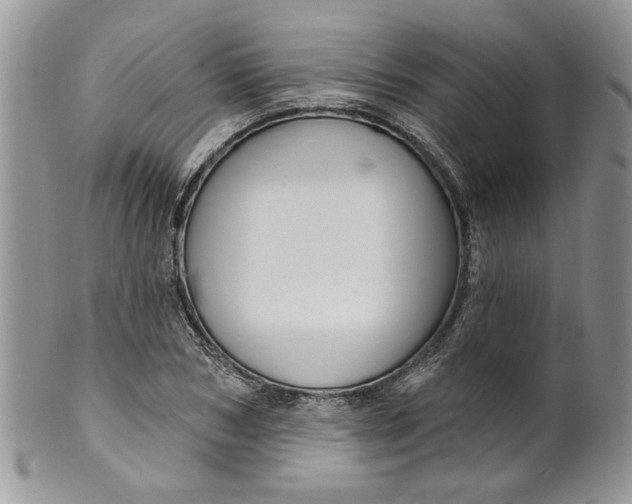 X0000099950978200806131443