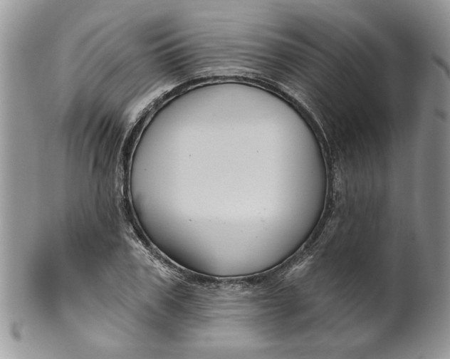 X0000099950979200806131443