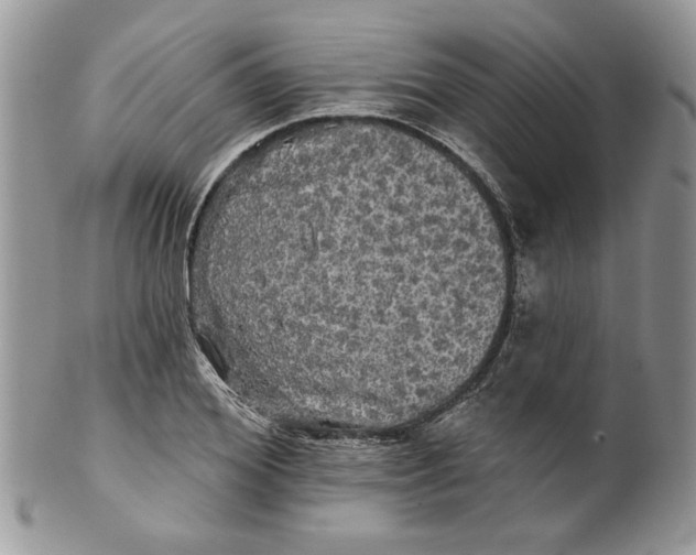 X0000099950980200806131443