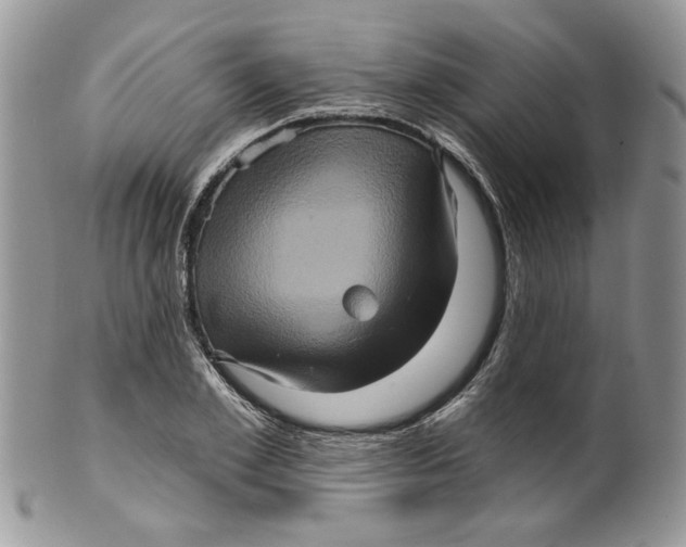 X0000099950981200806131443