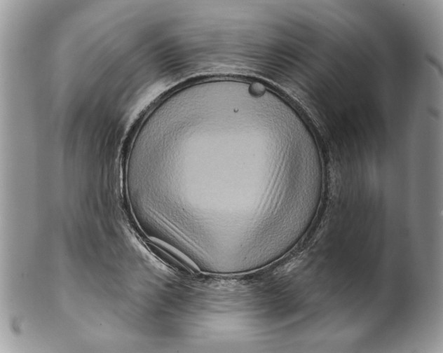 X0000099950982200806131443