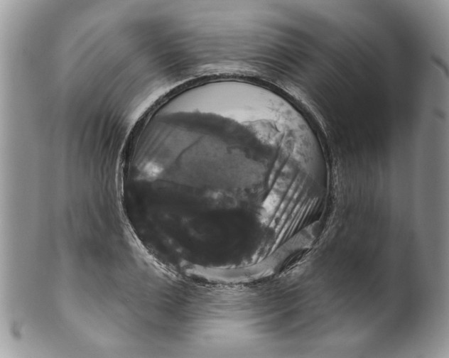 X0000099950983200806131443