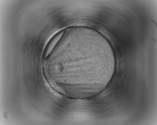 X0000099950984200806131443