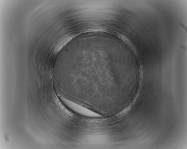 X0000099950985200806131443