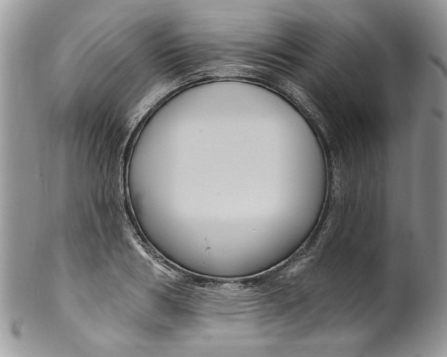 X0000099950986200806131443