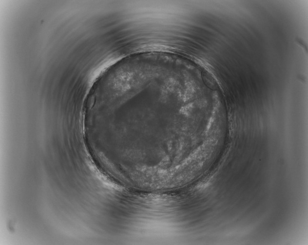 X0000099950987200806131443