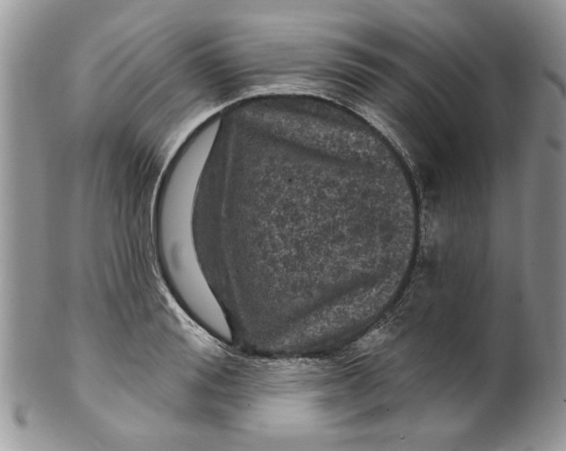 X0000099950988200806131443